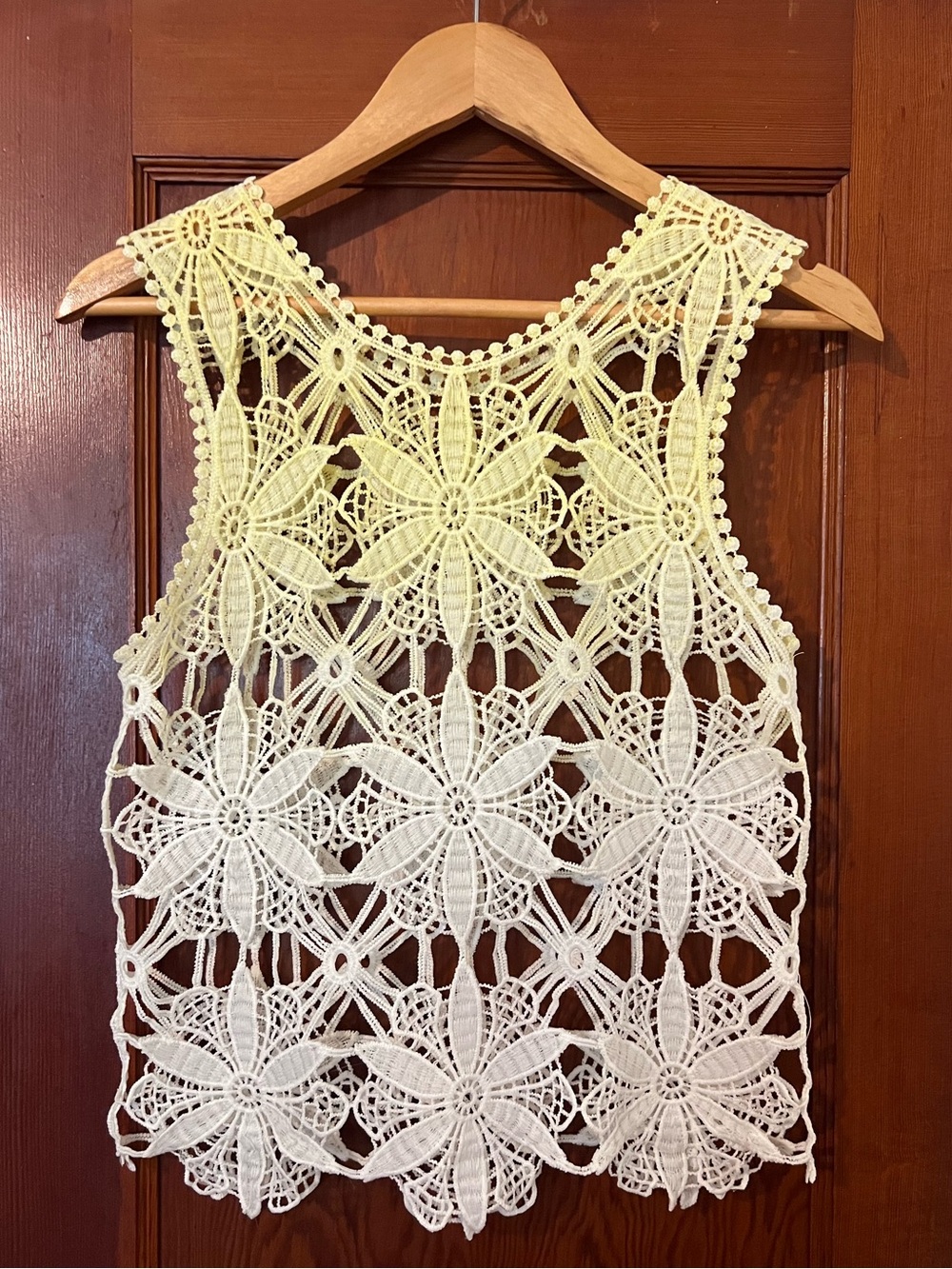 Vintage Ombre Crochet Lace Crop Top Cream Ivory Sleeveless Boho Festival